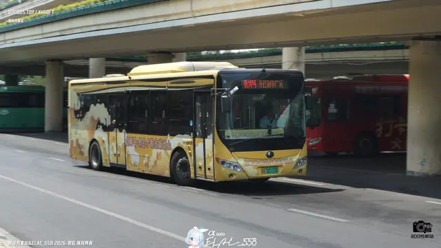 豫A 02153D