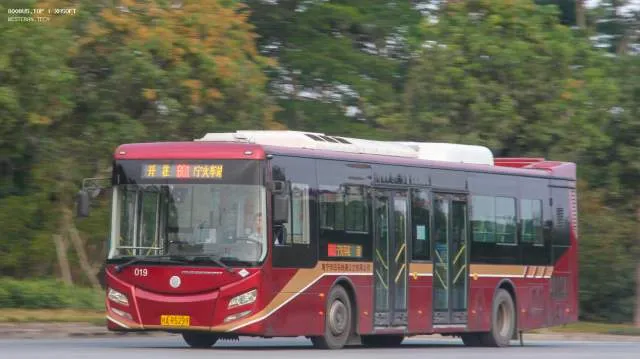 桂A R5299