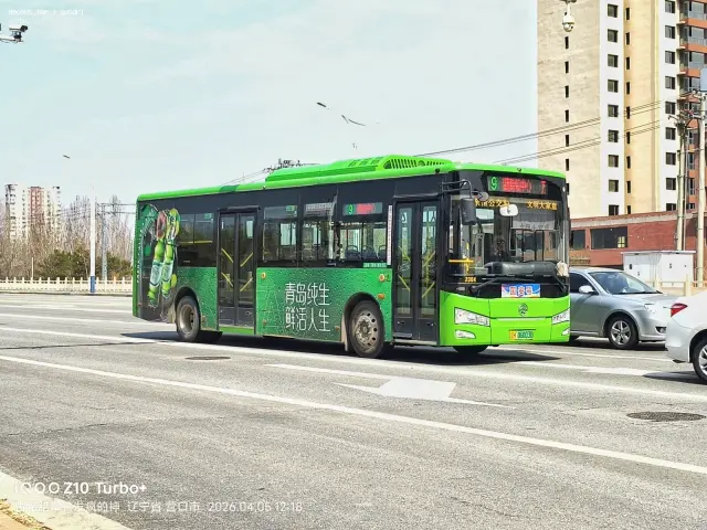 800BUS