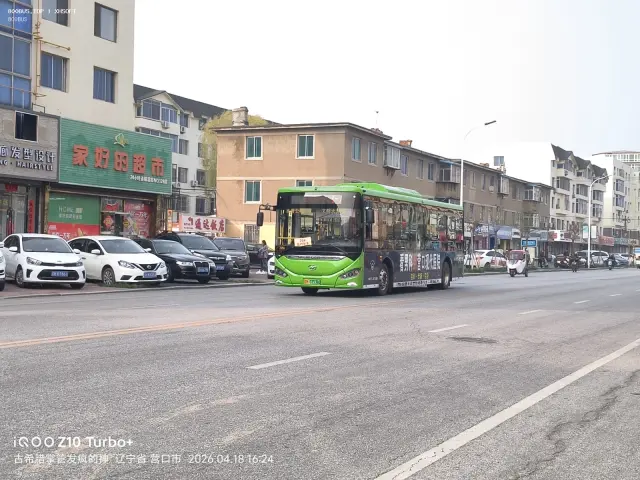 800BUS