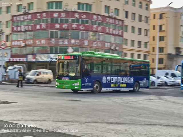 辽H 09699D