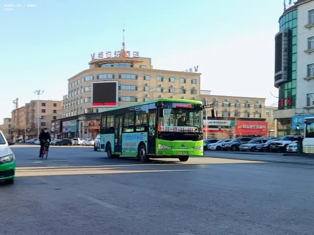 辽H 08595D