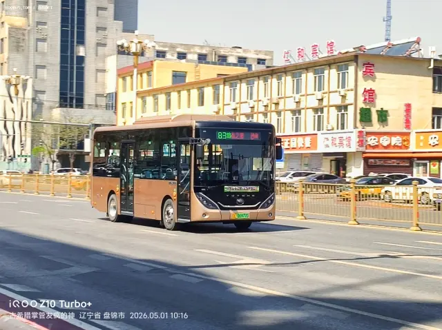 800BUS