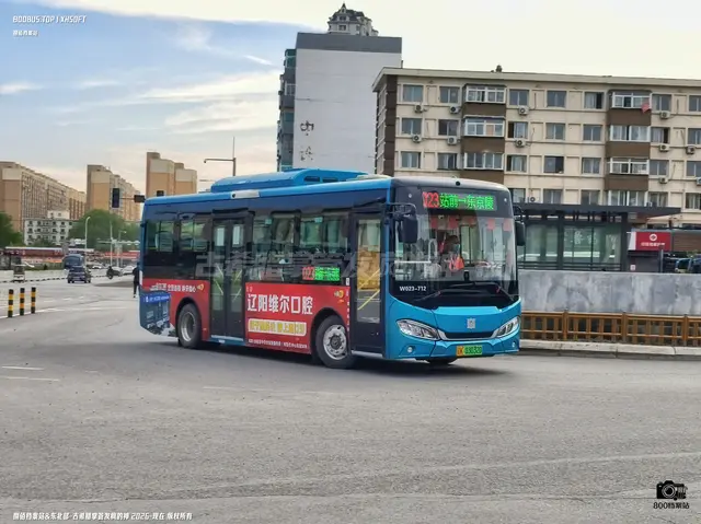辽K 03032D