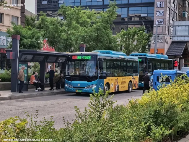 辽K 08798D