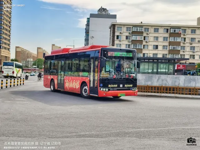 辽K 00033D