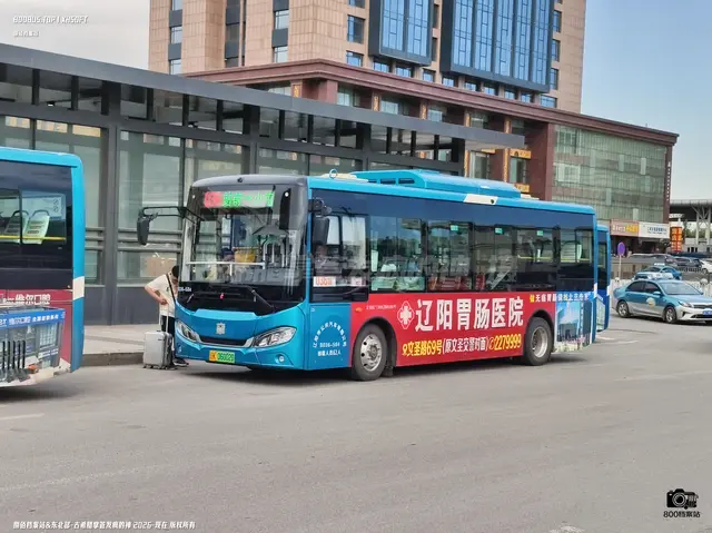辽K 06002D