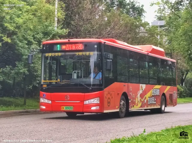 辽H 00920D