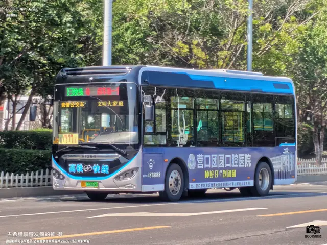 800BUS