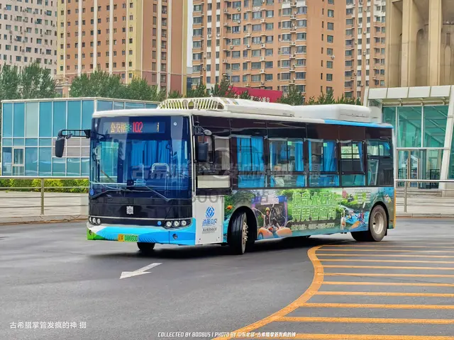 辽A 08660D