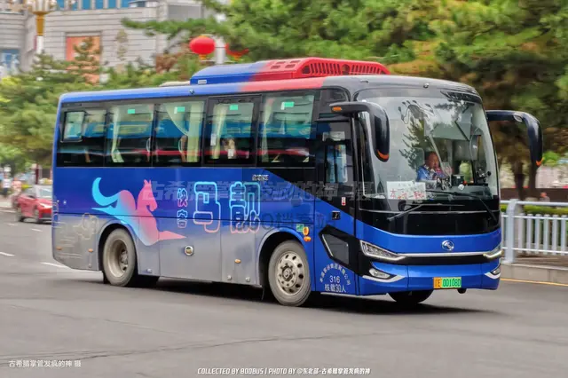 800BUS