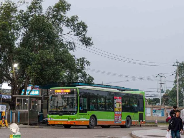 桂A R3101