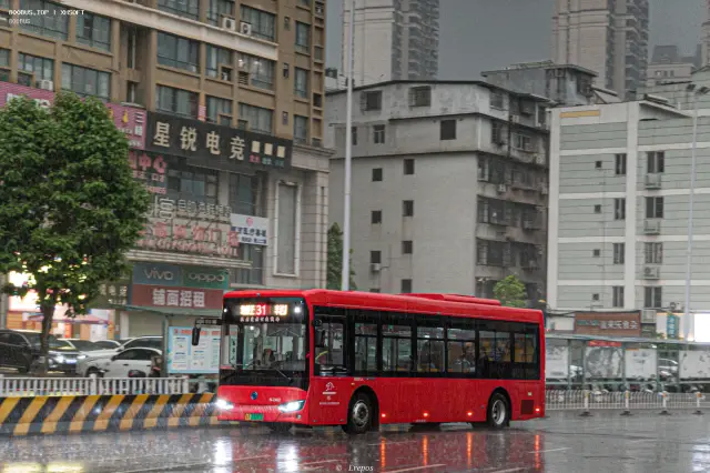 桂A 03097D