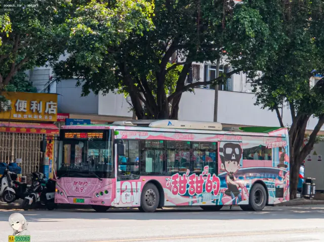 桂A 06753D