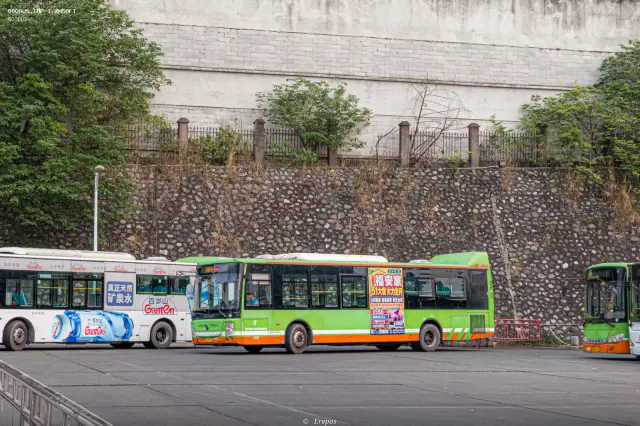 桂A U3883