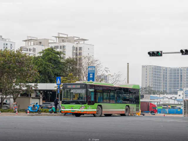 桂A 03878F