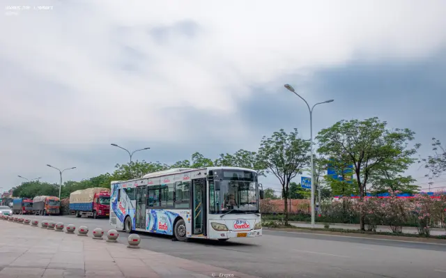 800BUS