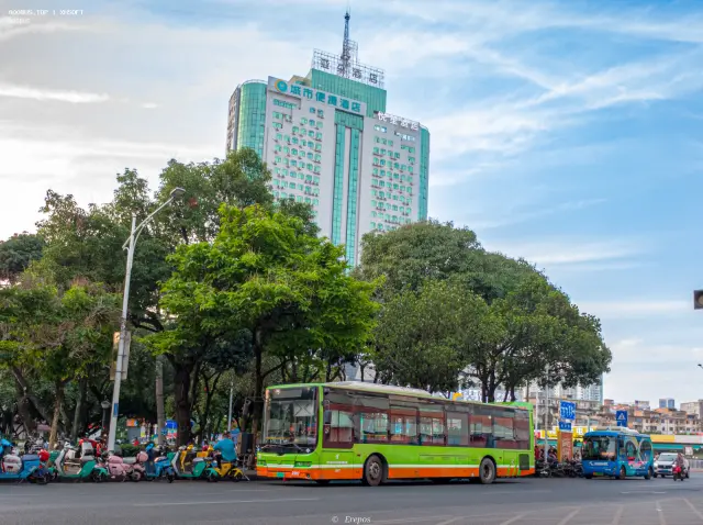 800BUS