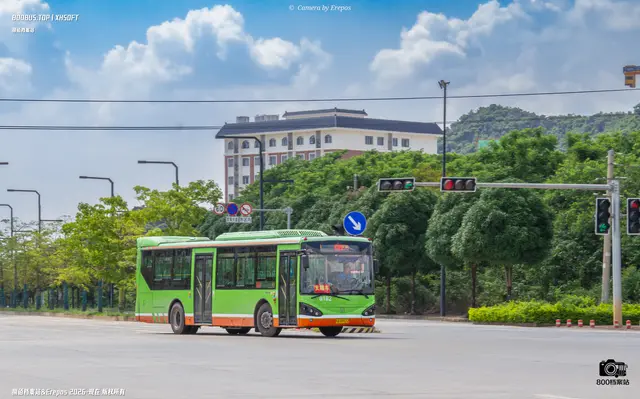 800BUS