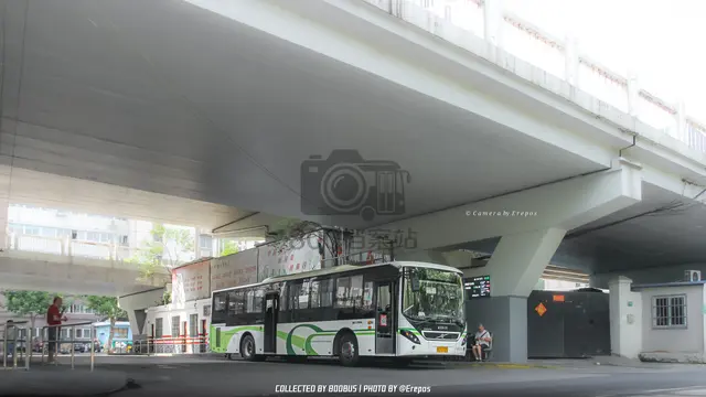 沪E D5386