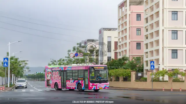 桂A R5311