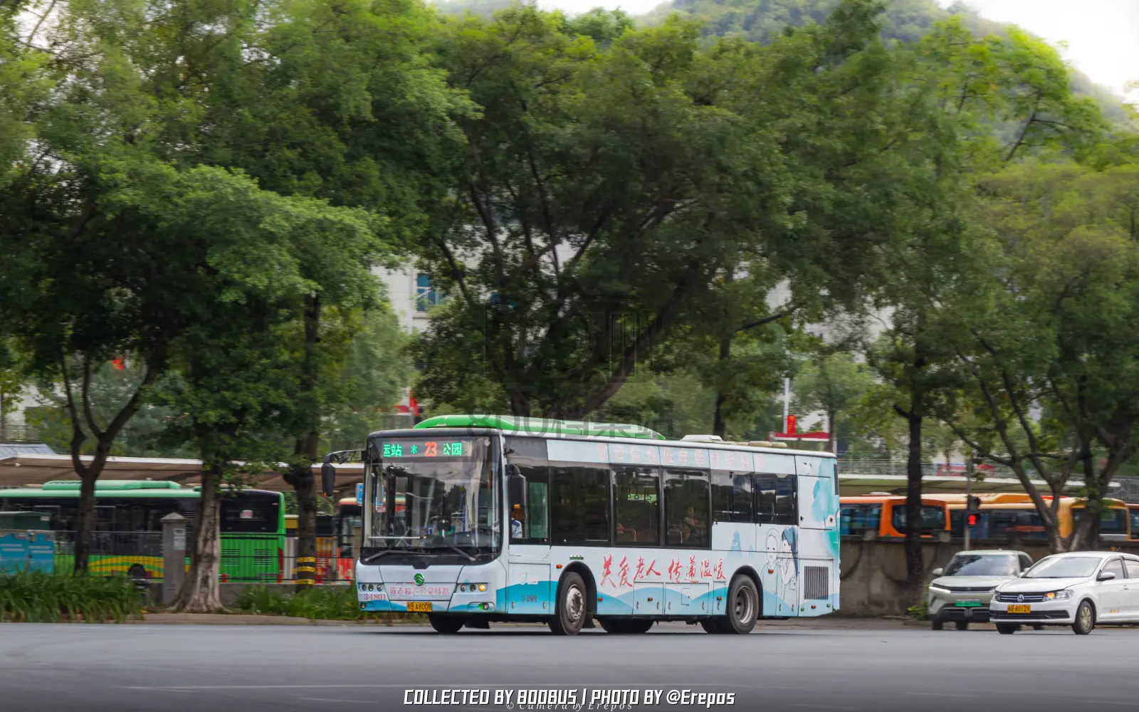 Bus Archive