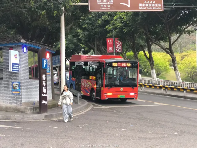 渝A 65885D