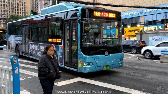 800BUS