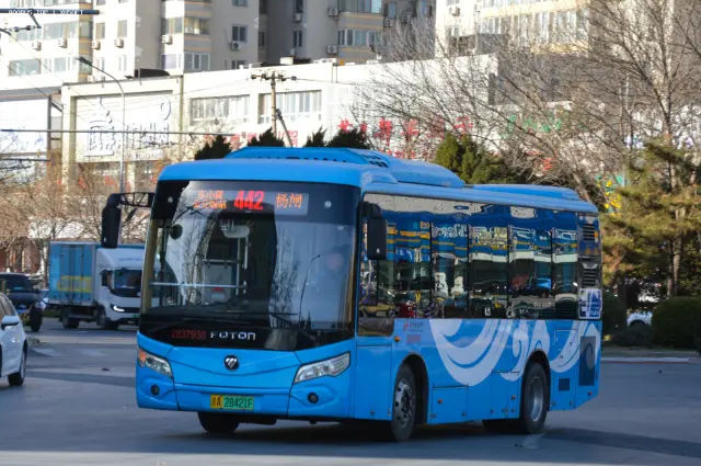 800BUS