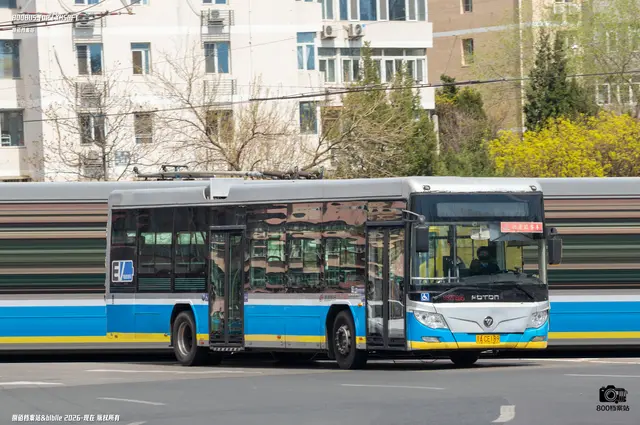 800BUS