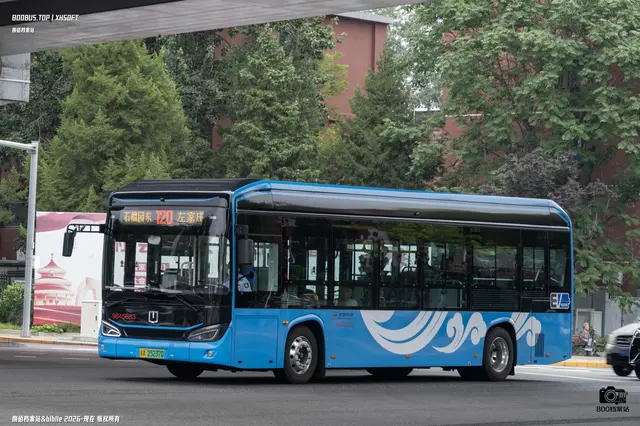 800BUS