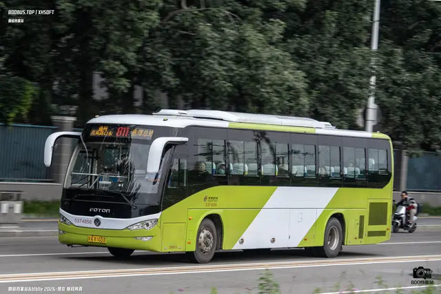 800BUS