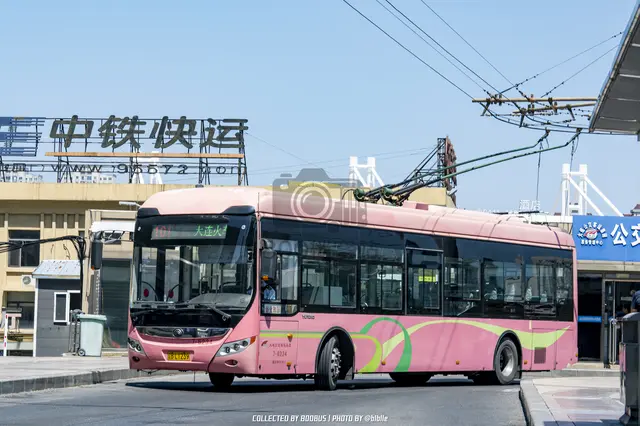辽B L1239