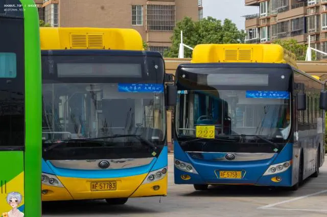 浙F 57783&浙F 57581