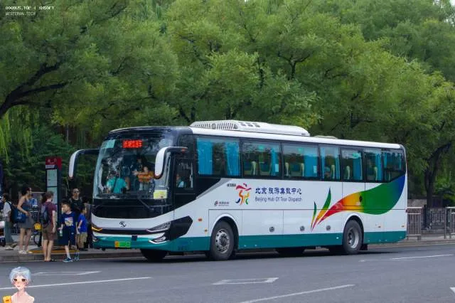京B 03863D