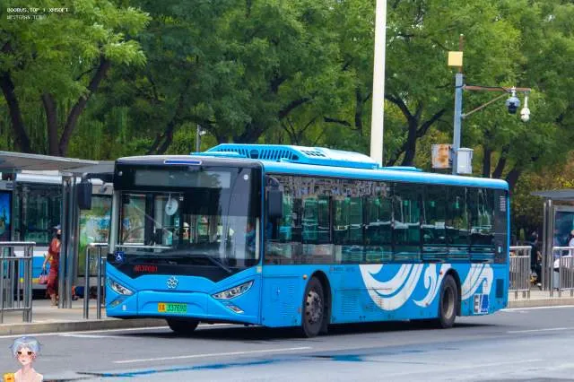 京A 33769D