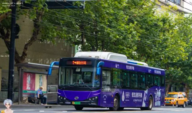 浙A 05982D