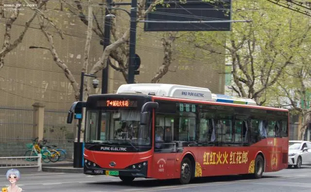 浙A 05152D
