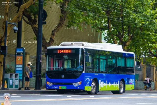 浙A 02553D