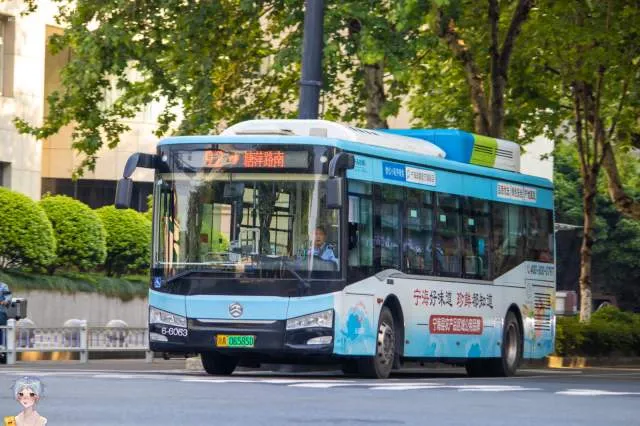 浙A 06585D