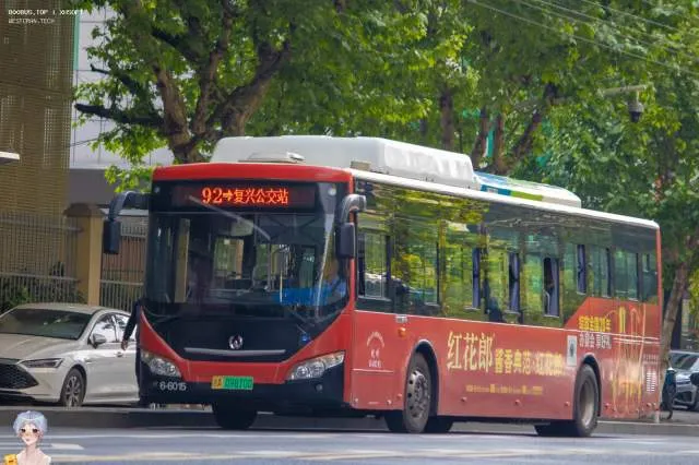 浙A 09810D