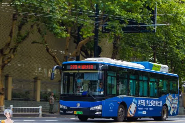 浙A 03198D