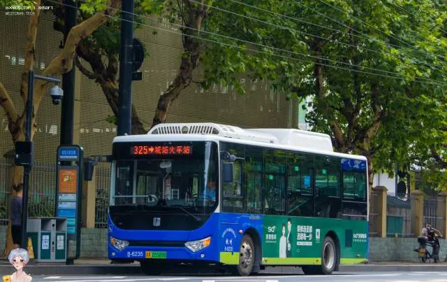 浙A 05589D