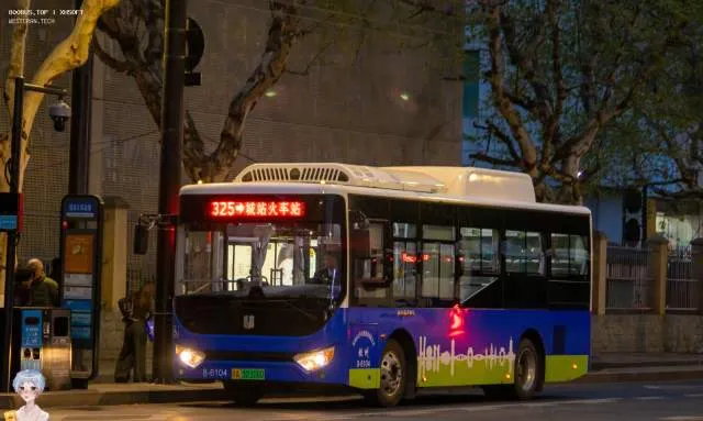 浙A 32316D