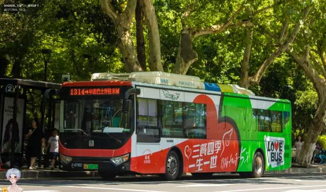 浙A 03975D