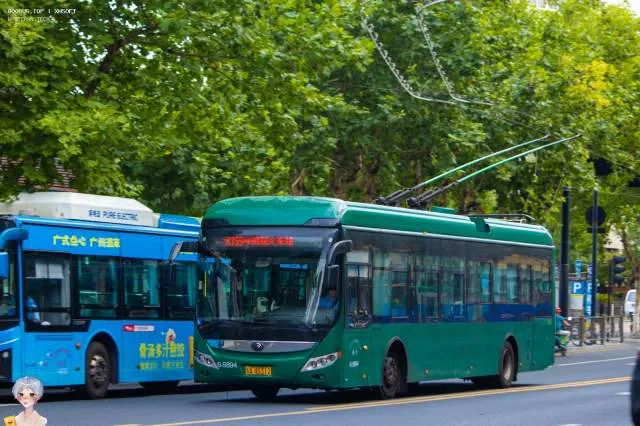 浙A 4G312