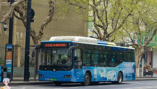 浙A 07569D