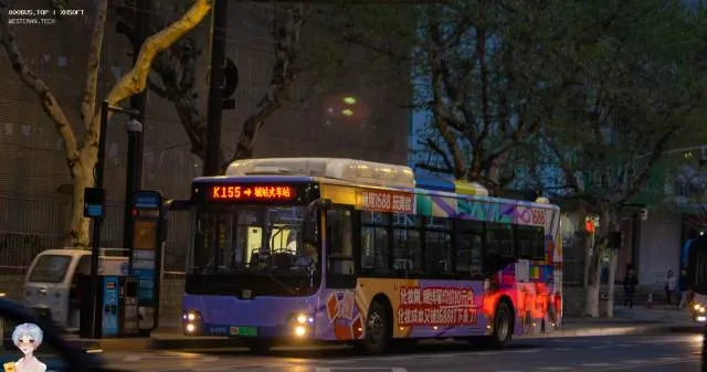 浙A 06267D