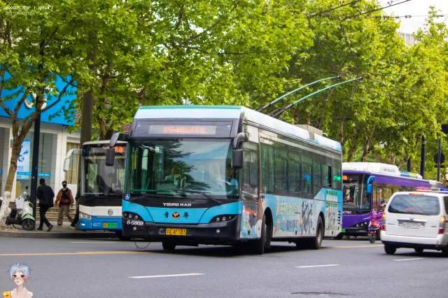 浙A 4F583