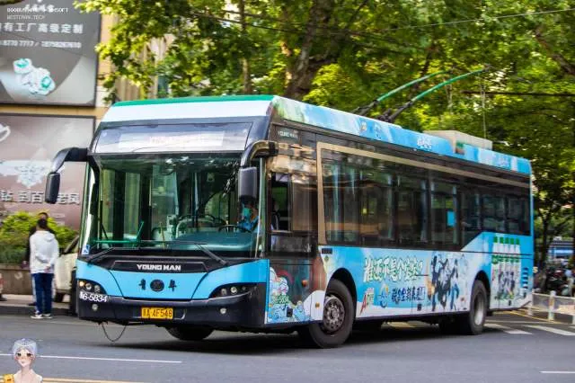 浙A 4F548